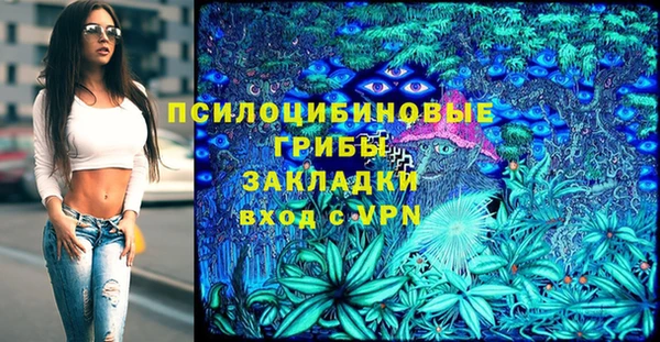 гидра Алексин