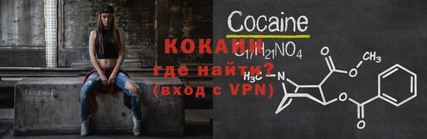 гидра Алексин
