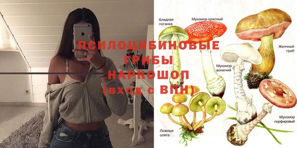 крисы Алексеевка