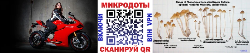 Псилоцибиновые грибы Psilocybe  ссылка на мегу tor  Нижняя Салда 